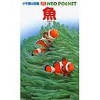 魚/井田斉