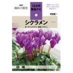 翌日発送・シクラメン/吉田健一(園芸)