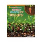 ニンジン/アルスフォト企画