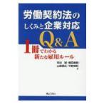 翌日発送・労働契約法のしくみと企業対応Ｑ＆Ａ/岩出誠