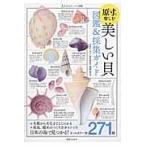 翌日発送・美しい貝図鑑＆採集ガイド/池田等