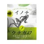  на следующий день отправка *inochinouchi сторона /yan* pawl *sk