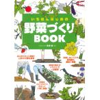  на следующий день отправка *.... впервые. овощи ...BOOK/ высота поле .