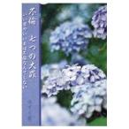  на следующий день отправка * не . 7 .. большой ./ yuzu . лист 