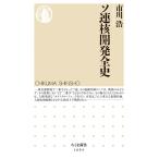  на следующий день отправка *so полосный . разработка все история / Ichikawa .