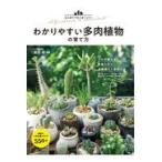  на следующий день отправка *.. задний .. суккулентное растение. .. person / длина рисовое поле .