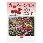  на следующий день отправка * гвоздика . создание . баклажан /. рисовое поле Akira 