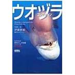 翌日発送・ウオヅラコレクション/伊藤勝敏