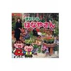 翌日発送・きれいねはなやさん/Ｓｔｕｄｉｏ　３１