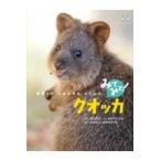 ���������E�݂Ă݂āI�N�I�b�J/���c�L��