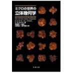  на следующий день отправка * микро. мир. цельный . какой ./ Miyazaki . 2 