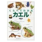 翌日発送・くらべてわかるカエル/松橋利光
