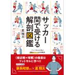  футбол промежуток . получать анатомия иллюстрированная книга / звезда sho futoshi 