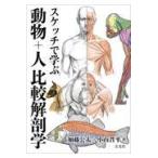 翌日発送・スケッチで学ぶ動物＋人比較解剖学/加藤公太