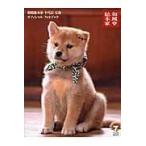  на следующий день отправка * японский стиль общий книга@ дом 10 поколения бобы . официальный фото книжка / лес внизу ..