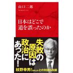  на следующий день отправка * Япония. ... дорога . ошибка ... ./ Yamaguchi 2 .