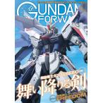  на следующий день отправка * Gundam Forward Vol.13(2024 SPR