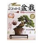  на следующий день отправка * хорошо понимать бонсай / гора рисовое поле . тканый 