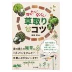  на следующий день отправка * простой! удобно!. брать .. kotsu/ бог Цу .