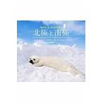 翌日発送・北極と南極/田邊優貴子