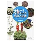  на следующий день отправка * цветок из понимать овощи. иллюстрированная книга / черепаха рисовое поле дракон .