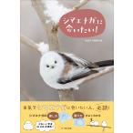 シマエナガに会いたい！/ＢＩＲＤＥＲ編集部