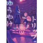  на следующий день отправка *.... поездка 2/...