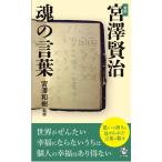  на следующий день отправка *.... душа. слова новый версия /.. мир .