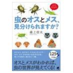  на следующий день отправка * насекомое. мужской . женский, видеть разделение ... .?/ лес сверху доверие Хара 