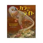 カラー＆ライト/ジェームズ・ガーニ