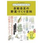  на следующий день отправка * стакан один из впервые . собственный . собственный пара. овощи ... различные предметы /. .....