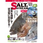  на следующий день отправка *SALT & STREAM VOL.21(2023)