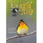 ビジュアル図鑑　北海道の鳥/大橋弘一
