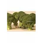 翌日発送・ＭＩＮＩＡＴＵＲＥ　ＬＩＦＥ/ＭＩＮＩＡＴＵＲＥ　