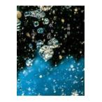  на следующий день отправка * вода ... шар река . вода /.=.