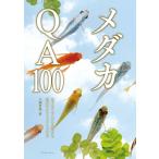 翌日発送・メダカＱＡ１００/大場貴保