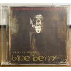 BLUE BERRY／DUB MASTER 【中古CD】 廃盤 ブルー・ベリー ダブ・マスター BLACK SMOKER RECORDS TTFS0016