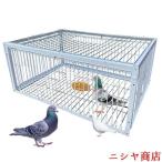 鳩罠 脱出防止 一方通行入り口 鳥か