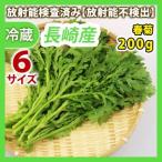 [最終発送日：1月31日]春菊200g 同梱サイズ6 放射能検査済み