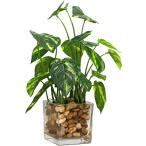  декоративное растение поддельный искусственная зелень настольный Mini маленький размер человеческий труд растения искусственный цветок настоящий ..( pothos )