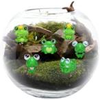 ショッピングテラリウム 苔テラリウム フィギュア 動物 キット