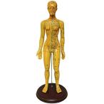 人体模型 ツボ 針灸 鍼灸経穴模型 経絡 モデル 整体 マッサージ 学習用 52.5cm 女性 タイプ(女性 ソフトビニール タイプ)