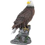 . птица меры 30cm класс ястреб Hawk украшение sz механизм lasmkdoli - to летучая мышь. .. резкое сокращение манок полимер производства . долговечность (30cm)