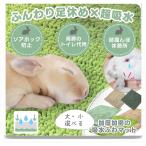 u.. коврик туалет Thor крюк стиральная машина OK пара ..& туалет уход . обе ..(40x60(beji зеленый ))