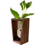  гидропонная культура pot стекло симпатичный модный интерьер салон магазин содержание контейнер экзамен труба прозрачный прозрачный цветок ( Brown, 18x10x7cm)