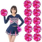 ポンポン チア ダンス チアリーダー 10個セット 5人分 持ち手付き 30cmx30cm ピンク+シルバー 応援 (ピンク シルバー)