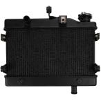 [ сменный товар ] Honda Rebel 250 CL250 согласовано радиатор оригинальный сменный 2020 2021 2022 2023 Rebel радиатор 