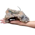  рептилии Leo pa ракушка ta- ящерица kana змея черепаха блокировка ракушка ta- рептилии ракушка ta- скала .. дом ( Brown, M)