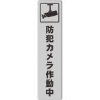 アクリル製 シルバー UVカット 防水 耐候 屋外 MDM(防犯カメラ作動中（タテ型）,  マグネット)