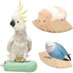  коготь .. подножка ... дерево подставка длиннохвостый попугай хомяк маленькая птица Momo n угловое соединение ( зеленый )